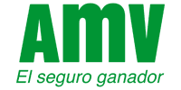 AMV Seguros